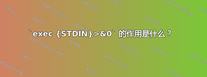 `exec {STDIN}>&0` 的作用是什么？ 