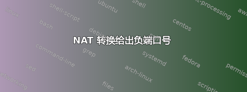 NAT 转换给出负端口号