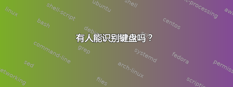 有人能识别键盘吗？