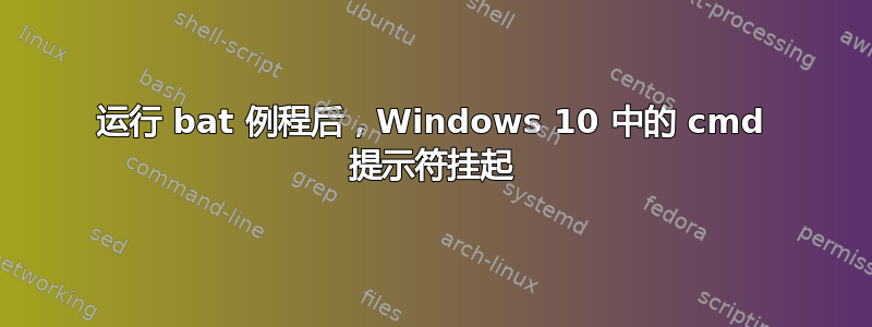 运行 bat 例程后，Windows 10 中的 cmd 提示符挂起