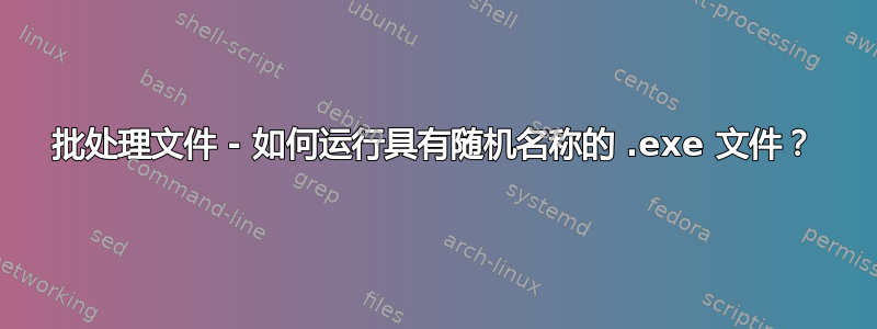 批处理文件 - 如何运行具有随机名称的 .exe 文件？