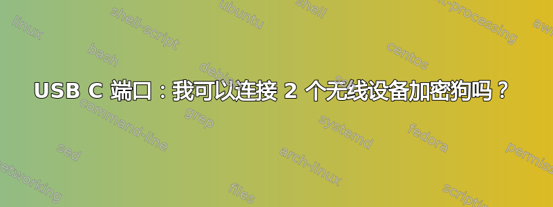 USB C 端口：我可以连接 2 个无线设备加密狗吗？