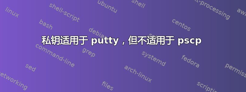 私钥适用于 putty，但不适用于 pscp