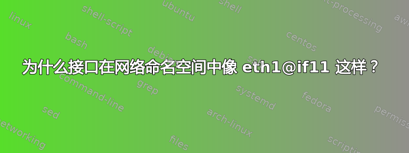 为什么接口在网络命名空间中像 eth1@if11 这样？