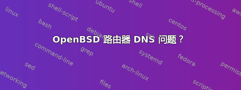 OpenBSD 路由器 DNS 问题？