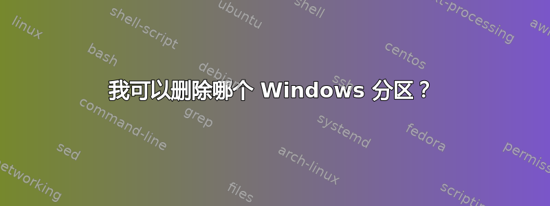 我可以删除哪个 Windows 分区？