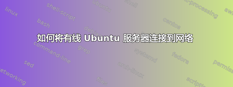 如何将有线 Ubuntu 服务器连接到网络