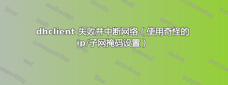 dhclient 失败并中断网络（使用奇怪的 ip/子网掩码设置）