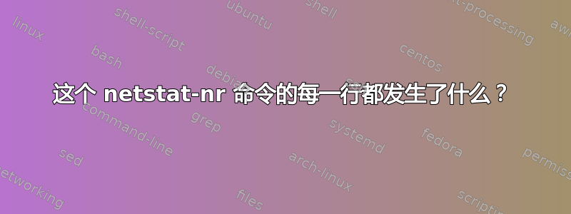 这个 netstat-nr 命令的每一行都发生了什么？