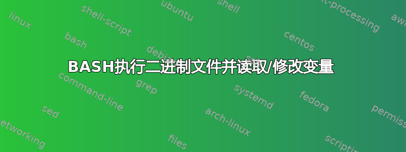 BASH执行二进制文件并读取/修改变量