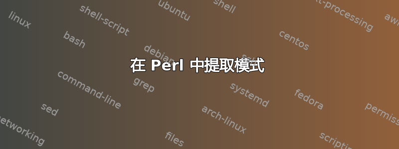 在 Perl 中提取模式