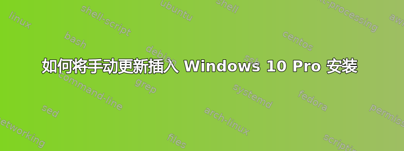 如何将手动更新插入 Windows 10 Pro 安装