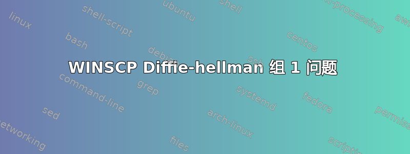 WINSCP Diffie-hellman 组 1 问题