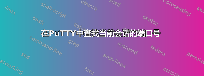 在PuTTY中查找当前会话的端口号