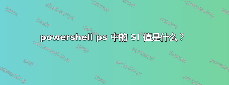 powershell ps 中的 SI 值是什么？