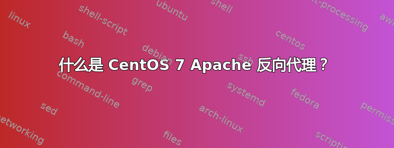 什么是 CentOS 7 Apache 反向代理？