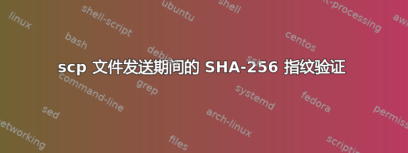 scp 文件发送期间的 SHA-256 指纹验证