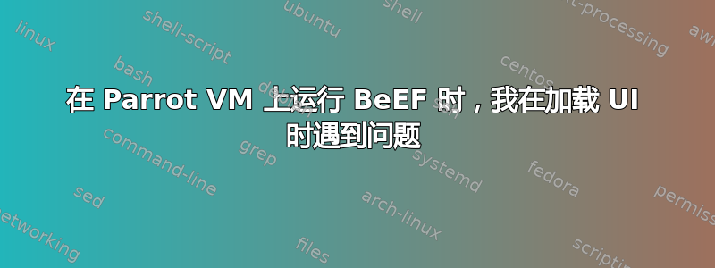 在 Parrot VM 上运行 BeEF 时，我在加载 UI 时遇到问题