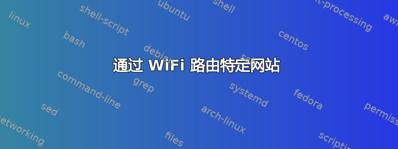 通过 WiFi 路由特定网站