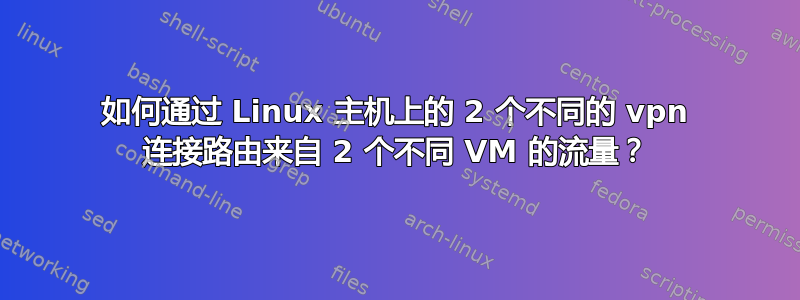 如何通过 Linux 主机上的 2 个不同的 vpn 连接路由来自 2 个不同 VM 的流量？