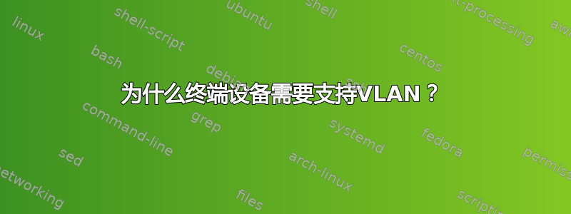 为什么终端设备需要支持VLAN？