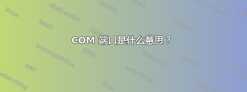 COM 端口是什么意思？