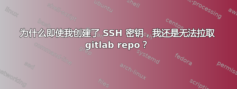 为什么即使我创建了 SSH 密钥，我还是无法拉取 gitlab repo？