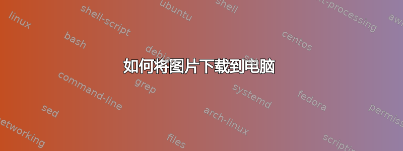 如何将图片下载到电脑