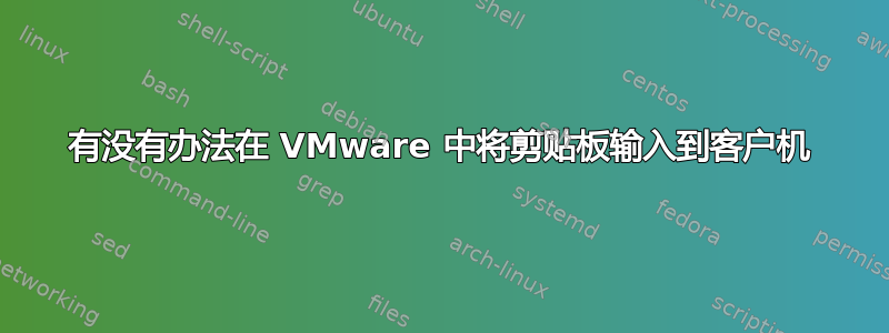 有没有办法在 VMware 中将剪贴板输入到客户机