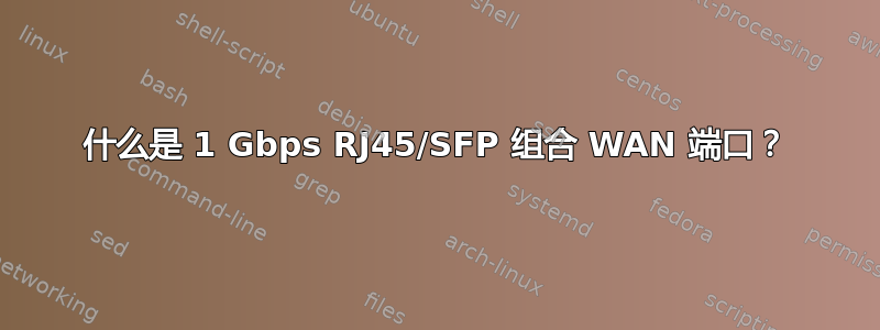 什么是 1 Gbps RJ45/SFP 组合 WAN 端口？