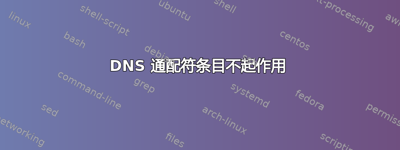 DNS 通配符条目不起作用