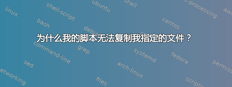 为什么我的脚本无法复制我指定的文件？