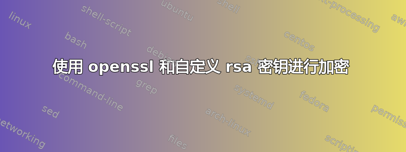 使用 openssl 和自定义 rsa 密钥进行加密