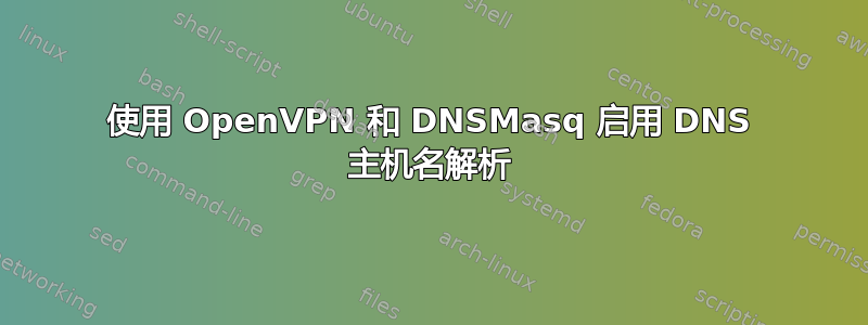 使用 OpenVPN 和 DNSMasq 启用 DNS 主机名解析