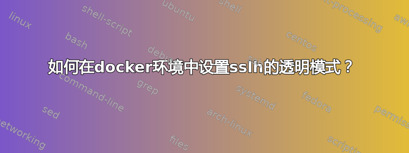 如何在docker环境中设置sslh的透明模式？