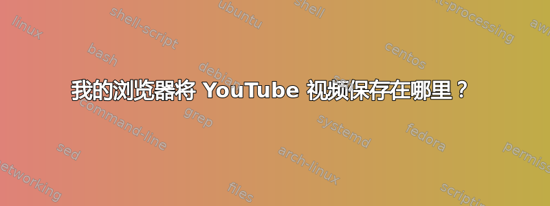 我的浏览器将 YouTube 视频保存在哪里？