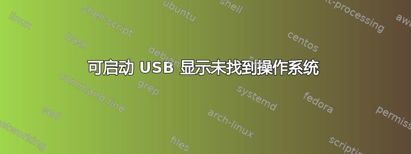 可启动 USB 显示未找到操作系统