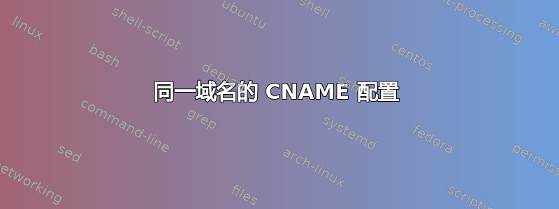 同一域名的 CNAME 配置