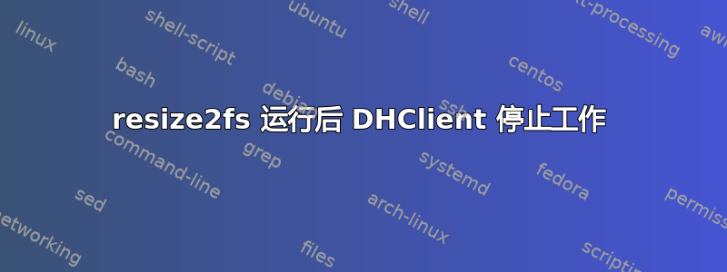 resize2fs 运行后 DHClient 停止工作