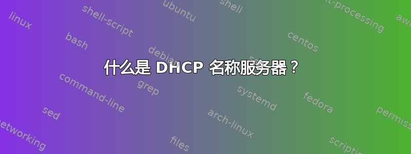 什么是 DHCP 名称服务器？