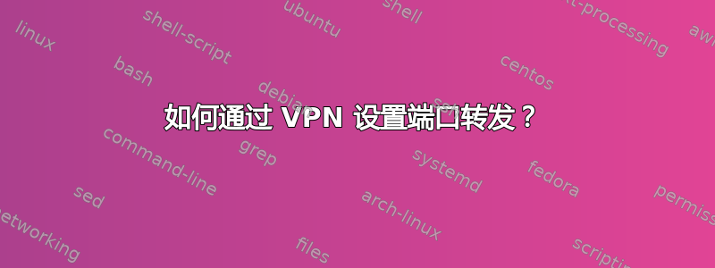 如何通过 VPN 设置端口转发？