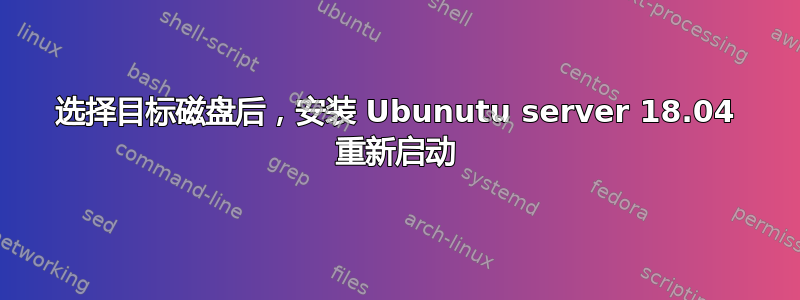 选择目标磁盘后，安装 Ubunutu server 18.04 重新启动