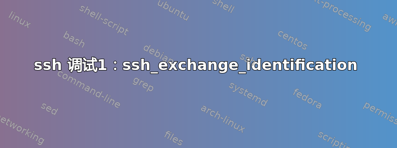 ssh 调试1：ssh_exchange_identification