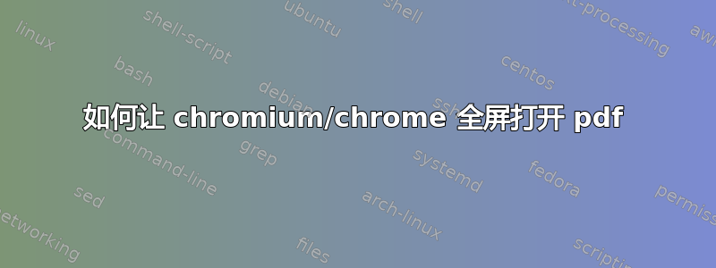 如何让 chromium/chrome 全屏打开 pdf