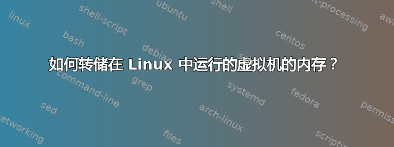 如何转储在 Linux 中运行的虚拟机的内存？