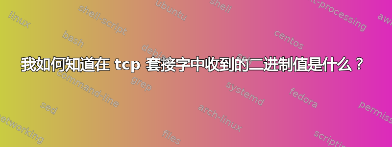 我如何知道在 tcp 套接字中收到的二进制值是什么？