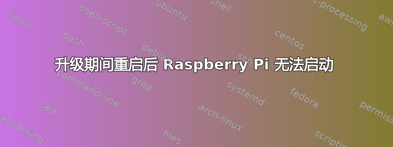 升级期间重启后 Raspberry Pi 无法启动