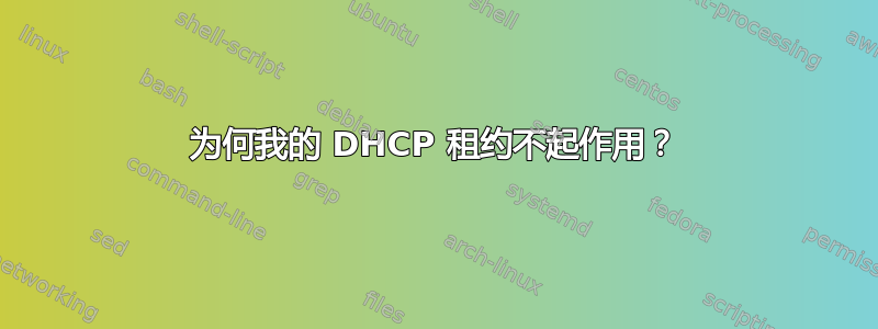 为何我的 DHCP 租约不起作用？