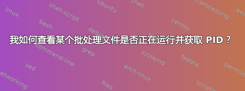 我如何查看某个批处理文件是否正在运行并获取 PID？