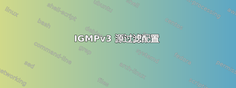 IGMPv3 源过滤配置